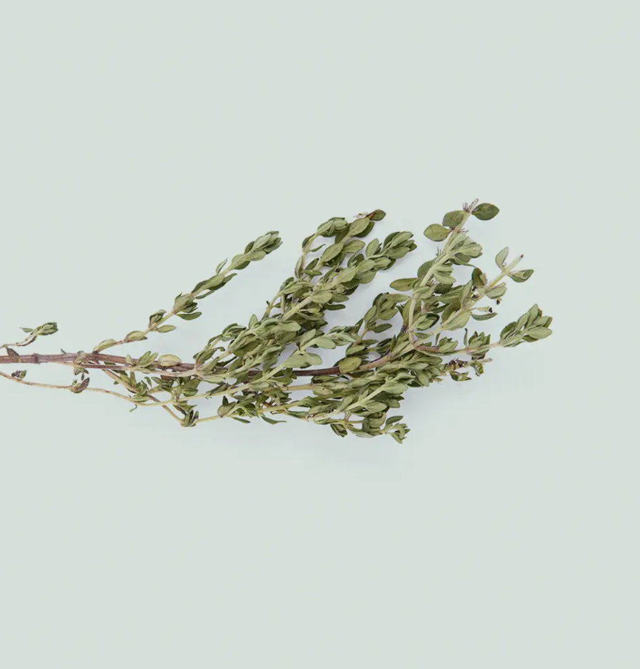 Le Thym : Une herbe aromatique parfaite pour votre potager d'intérieur