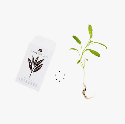 potagers-intérieur-connectés-jardins-intérieur-autonomes-plantes-aromatiques-bio-sapousse
